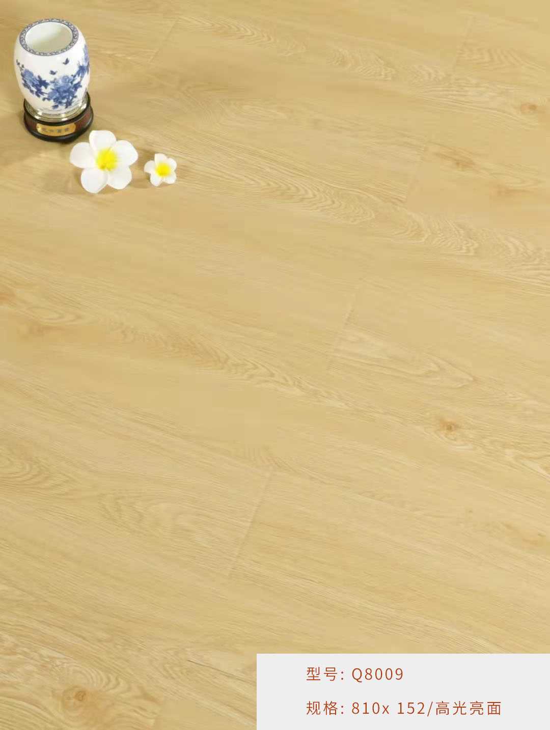 8009